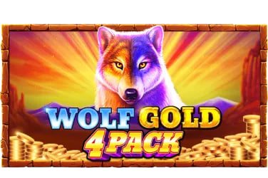 Tampilan Pertunjukan Game Langsung di toto80 dengan dealer profesional dan meja permainan live